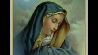 Purest Virgin Mary [upl. by Dumond]