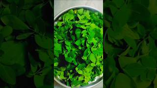 Munagaku Health Benefits  Moringa Leaves Health Benefits viral trending youtubeshorts shorts [upl. by Elysha]