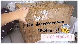 VLOG REBORN l JAI REÇU UN COLIS DE 10KG [upl. by Mahgirb]