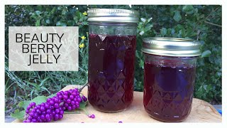 BEAUTY BERRY JELLY  Short amp Sweet Saturday [upl. by Yecart186]