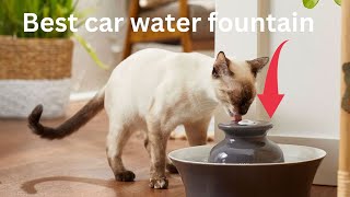 Best cat water fountain 2024 [upl. by Jaworski]