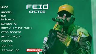 FEID EXITOS ENGANCHADOS [upl. by Dirgni]