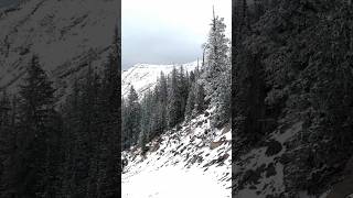 Flagstaff Snow Bowl flagstaffaz shorts viralvideo arizona usa [upl. by Leakim514]