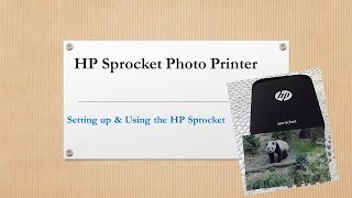 HP Sprocket Photo Printer [upl. by Ahsenyl]