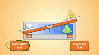 What is the Sodium Adsorption Ratio SAR [upl. by Hollah]