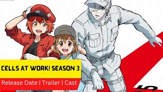 Cells at Work Season 3 Release Date  Trailer  Cast  Expectation  Ending Explained [upl. by Enyamert51]