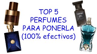 MI COLECCION DE PERFUMES PARA PONERLA [upl. by Woolley]