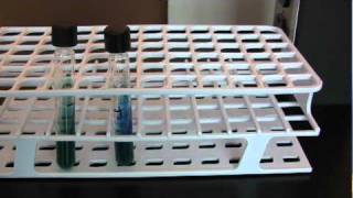 BIO 2192 UNIT 8  Citrate Test [upl. by Ydissac]