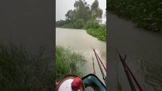 In the strom rainfishing is so scaryTwo bait two fish onwatch till the endfishing fishingvideo [upl. by Alilak]