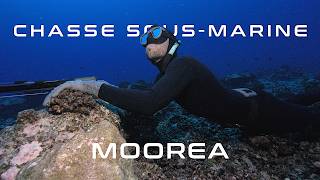 Chasse sous marine  Moorea  4K [upl. by Ennybor]