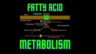 USMLE Step 1  Lesson 70  Fatty Acid Metabolism [upl. by Fonsie484]