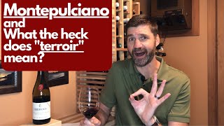 Tasting Montepulciano dAbruzzo and What does terroir mean Wine 25 of 52 [upl. by Kanter24]