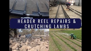 Header Reel Repairs amp Crutching Lambs [upl. by Ahsirahc]