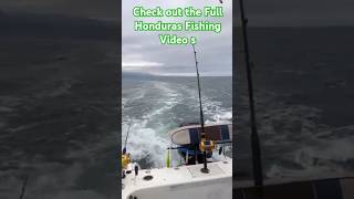 Wahoo Speed Trolling Set Up fishing honduras boat pennfishingreels boatfishing gopro new [upl. by Htebirol]