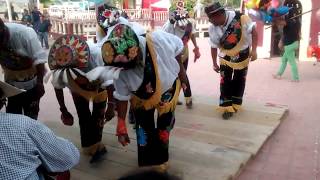 Danza de negritos en El Volador Papantla [upl. by Labaw]