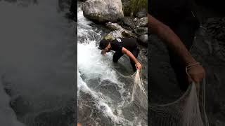 Net Fishing in Crowded Stream  Unexpected No Catch in Fast Water Adventure fishing ytshorts [upl. by Otsedom]