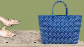 Goyard  The Artois GM weekend tote [upl. by Nonnahsed]