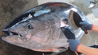 How to cut the giant TUNA skillfully at fish market in Taiwan [upl. by Paine]