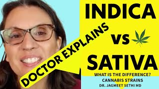 Indica vs Sativa vs Hybrid in Cannabis [upl. by Eeimaj]