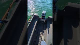 whaly 270  Yamaha 8hp 2 stroke fishing [upl. by Enawtna]