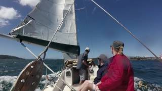 FOLKBOAT SAILING SYDNEY HARBOUR [upl. by Capone]