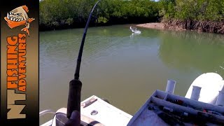 Chasing Barra in the Carrington  NT Fishing Adventures [upl. by Kedezihclem682]