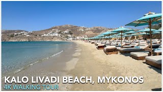 KALO LIVADI BEACH 4K WALKING TOUR  MYKONOS 2024 [upl. by John]