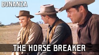 Bonanza  The Horse Breaker  Episode 76  Full Length Western Series  English [upl. by Asinet187]