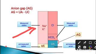 Anion Gap in Bangla [upl. by Mariken815]