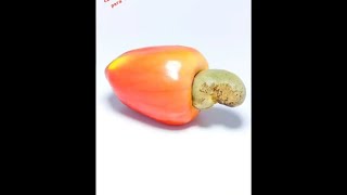 TIME LAPS rotting fruit timelapse rotting food [upl. by Firooc]