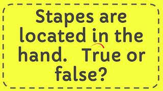 Stapes are located in the hand True or false [upl. by Trebbor]