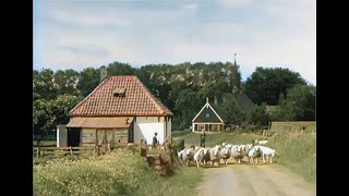 Texel De Parel Der Waddenzee in 1943 in kleur The beautiful Dutch island of Texel in 1943 in color [upl. by Anelad]