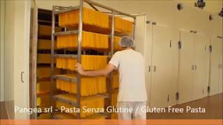 Dry pasta production line  Gluten Free Pasta  Sarp industrial pasta machines [upl. by Kinna155]