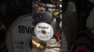 Vaillant EcoTec Plus 824 boiler making noise [upl. by Falk921]