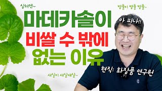 비싸지만 그 효과 만큼은 호랑이가 인정한 확실한 병풀시카 화장품 feat 화장품 연구원 [upl. by Ennaeirb]