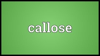 Callose Meaning [upl. by Nahaj772]