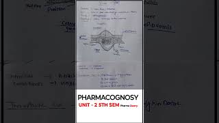 Vinca  Pharmacognosy B Pharmacy unit 2 drug pharmacognosy bpharmacy pharmacy [upl. by Naanac]