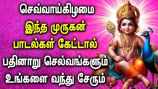 TUESDAY SPL MURUGAN TAMIL DEVOTIONAL SONGS  Murugan Bakthi Padalgal  Murugan Tamil Devotional Song [upl. by Yelnek]