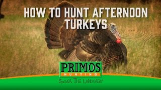 How to Hunt Afternoon Turkeys [upl. by Hluchy]