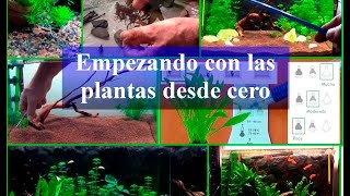 Acuario Empezando con las plantas desde cero [upl. by Itraa]