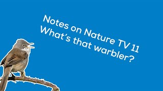 Notes on Nature TV 11 Beginners guide to warblers [upl. by Rosemarie]