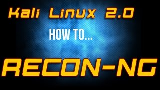 How To  Kali Linux 20  Reconng [upl. by Chellman]