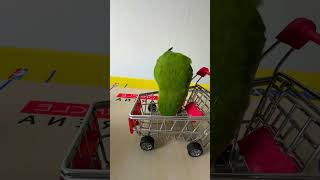 Bird Training  Smart lovebird Parrot  Smart Little Cute Parrot training smartparrot cute [upl. by Pentheam]