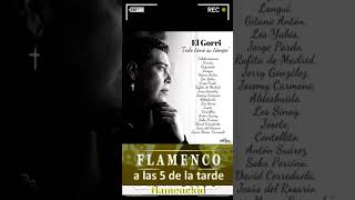 ❤️🎧El Gorri 🎧❤️👍shorts music love flamenco foryou trending short song parati reels usa [upl. by Arimlede]