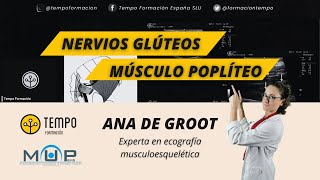 Nervios glúteos y musculo poplíteo con Ana de Groot [upl. by Ellesig]