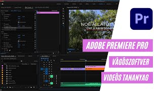 Videó áttűnések  Premiere Pro videós oktatóanyag magyarul [upl. by Iur]