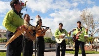 Tierra Fértil  De Moyobamba su San Juan [upl. by Adnorat]