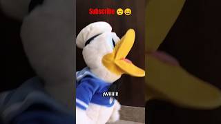 Mi verano resumido en 15 segundos 🍗🔥donaldduck disney duck humor SsanPitoPato [upl. by Sisxela]