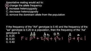 Definition of assortative mating [upl. by Atsirak601]