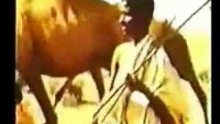 Somali HistoryTaarikh Part 2 [upl. by Calen]